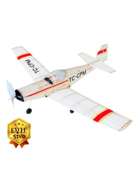 SLINGSBY T-67