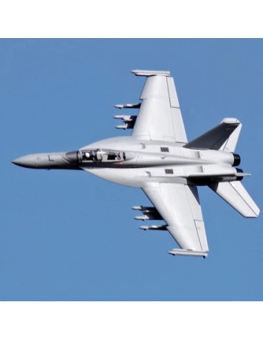 AVION EDF F-18F V2 70mm PNP FMS