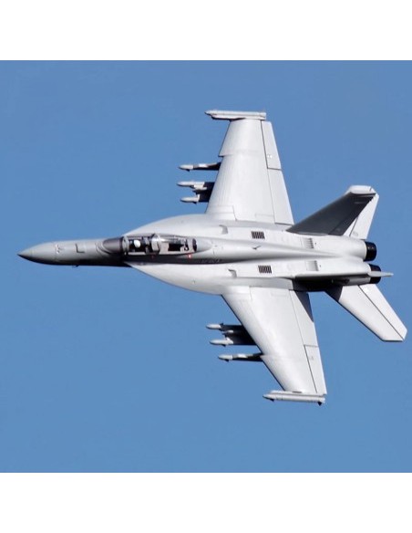 AVION EDF F-18F V2 70mm PNP FMS