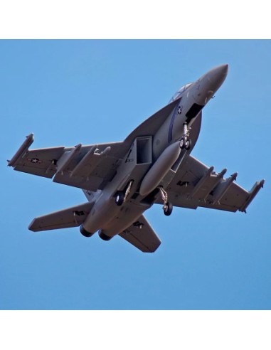 AVION EDF F-18F V2 70mm PNP FMS
