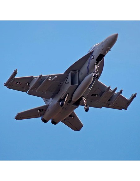 AVION EDF F-18F V2 70mm PNP FMS