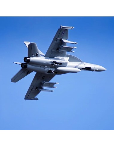 AVION EDF F-18F V2 70mm PNP FMS