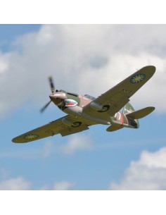 AVION P-40B 1400mm PNP FMS 2