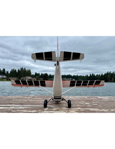 EXTREMEFLIGHT-RC TURBO BUSH MASTER 84" V2 Plus Orange RXR (Receptor listo , PNP)
