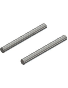 AR330456 Hinge Pin 4x40mm (2): 4x4