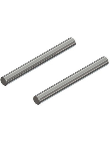 AR330456 Hinge Pin 4x40mm (2): 4x4
