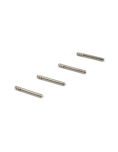 Lower Outer Hinge Pin Set