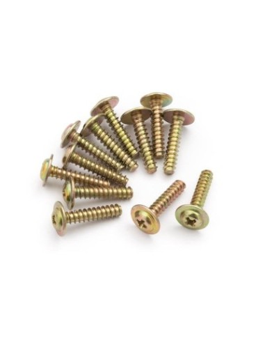 Flange Head Self Tapping Screws PWTHO2.6x12mm