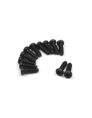 Pan Head SelfTapping Screws BMHO2.5*8mm