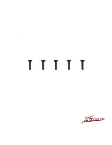 Flat head Screw M2*8