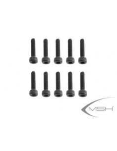 Hex Screw M2.5*10
