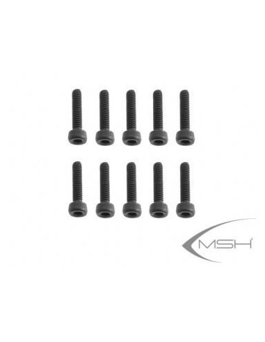 Hex Screw M2.5*10