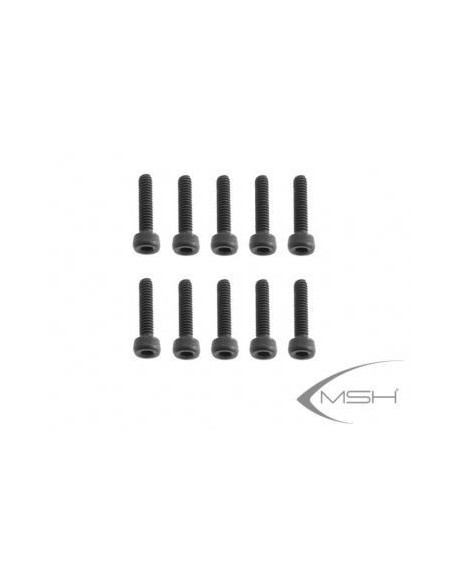 Hex Screw M2.5*10