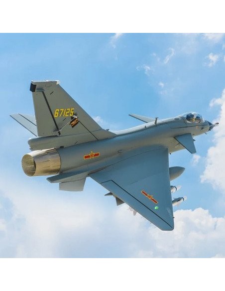 AVION EDF J-10 GRI W/REFELX V3 GRIS PNP FMS