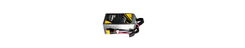 LIPO 12S